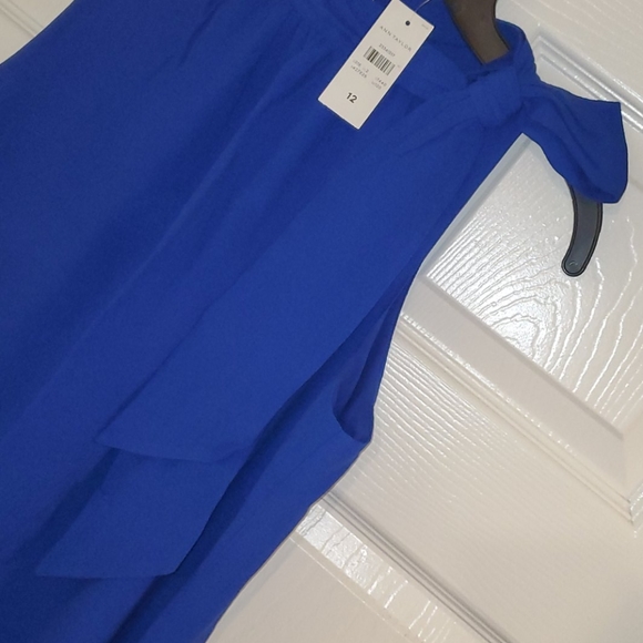 NEW Cobalt Blue Shift Dress - Picture 3 of 5